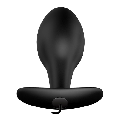 Plug Anal Vibrador con Control 4