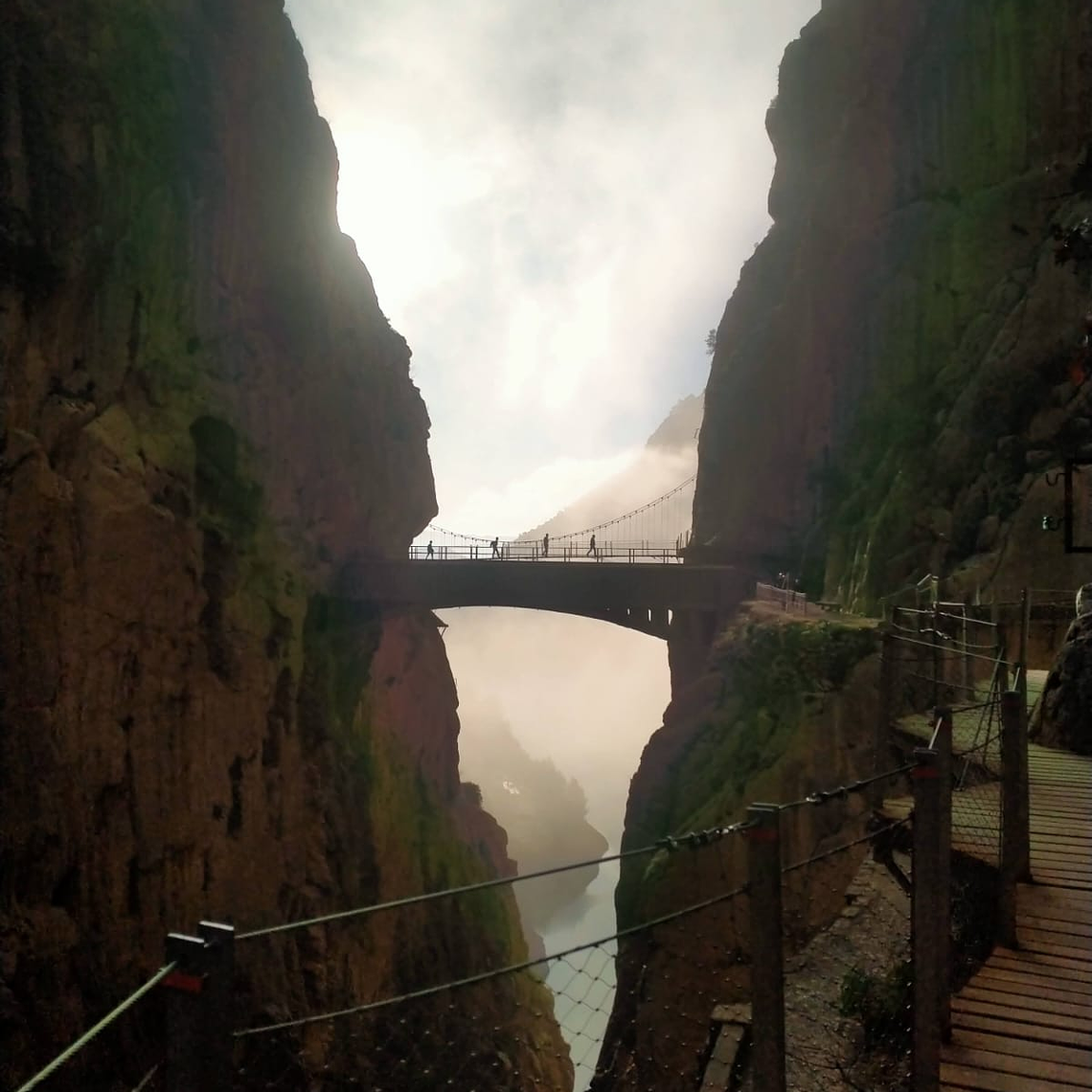 PREMIUM PACKAGE: ENTRANCE + GUIDED TOUR + PICNIC + SHUTTLE + PRIVATE TRANSPORT FOR 2-6 PEOPLE FROM MALAGA CITY CENTRE 1