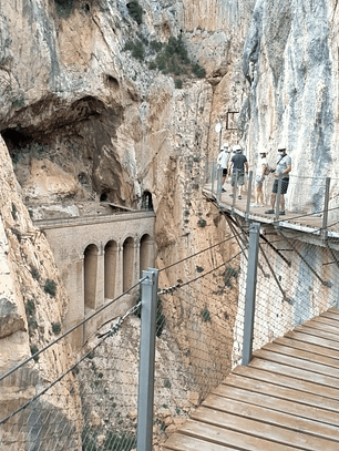 PREMIUM PACKAGE: ENTRANCE + GUIDED TOUR + PICNIC + SHUTTLE + PRIVATE TRANSPORT FOR 2-6 PEOPLE FROM FUENGIROLA