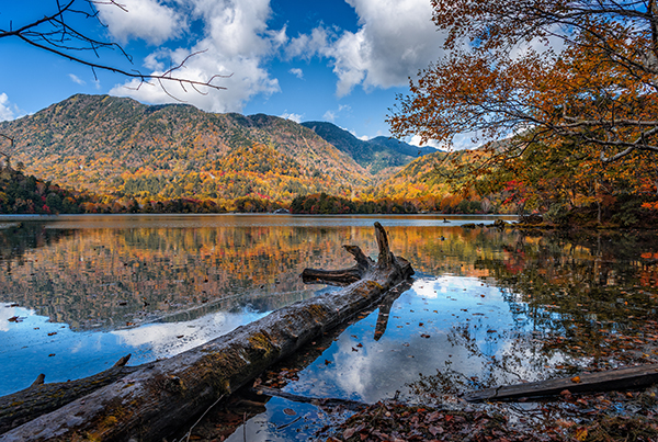 Otoño, Japón