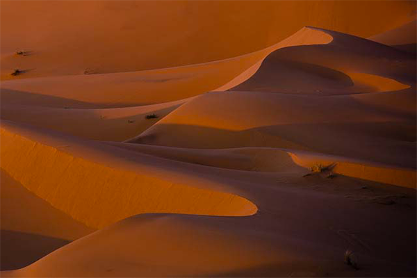 Dunas del Sahara