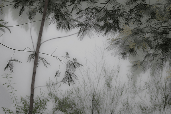 Reflejo de la melancolia