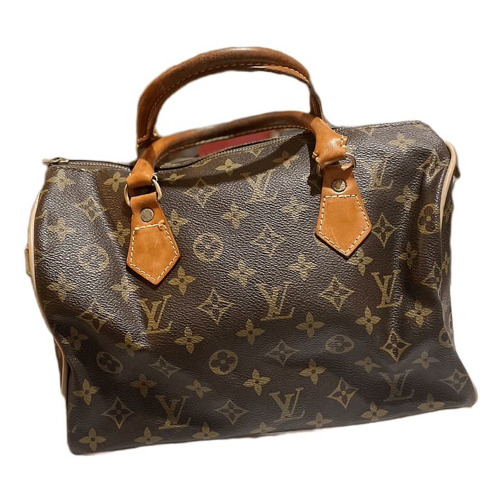 Louis Vuitton Speedy 30 1