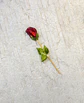 PIRULITO ROSA - FORMA SIMPLE - Miniatura 1