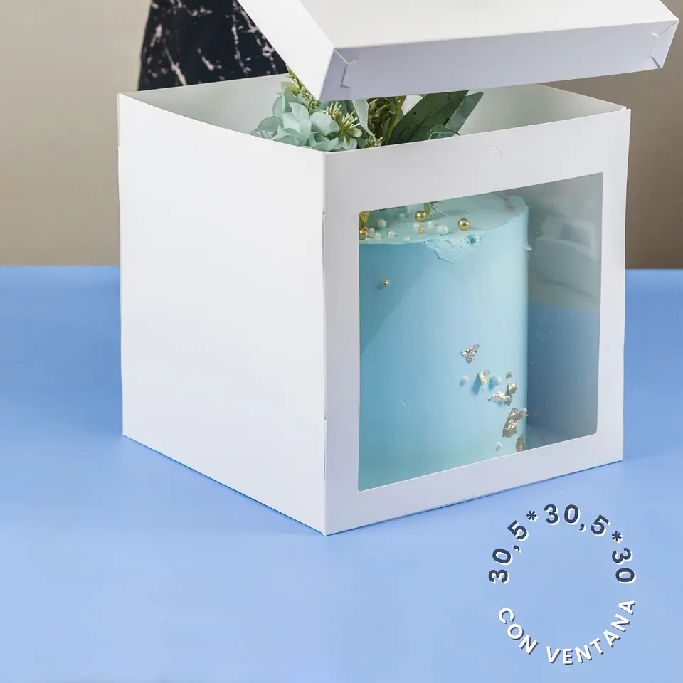 CAJA TORTA CON VISOR 30,5X30,5X30 1