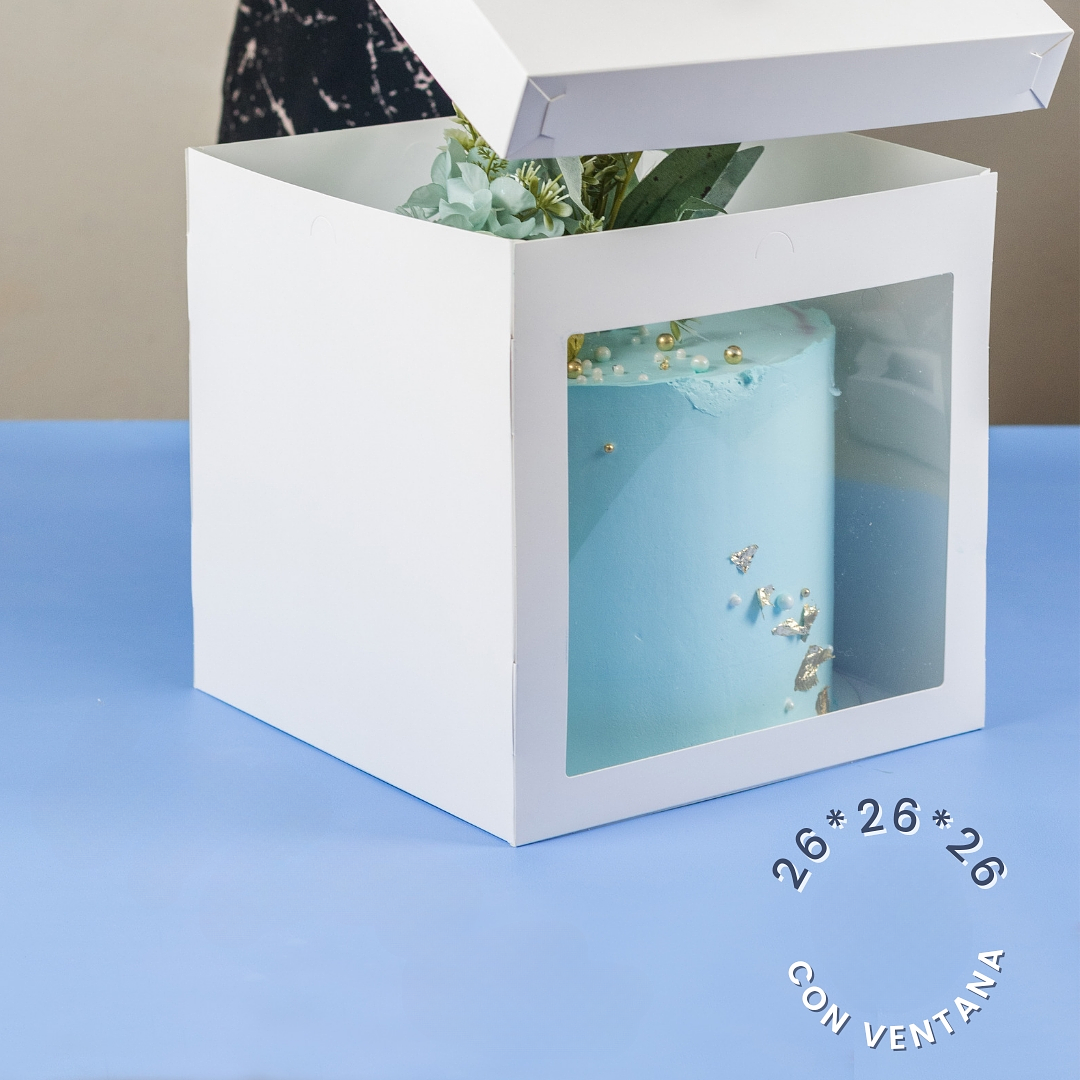 CAJA TORTA CON VISOR 26X26X26 1
