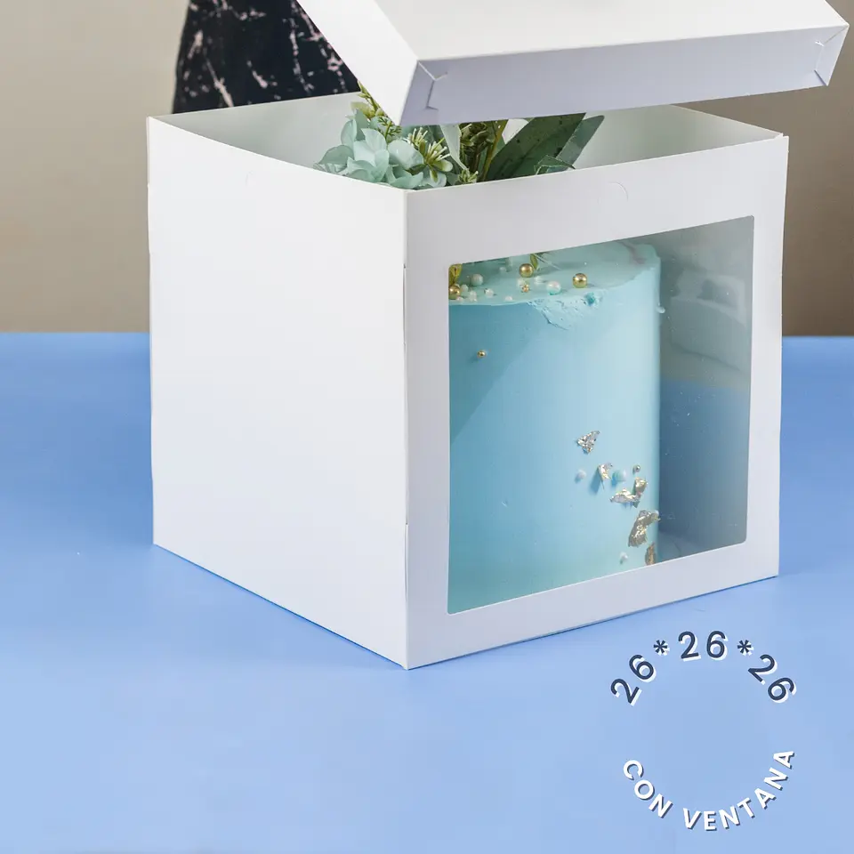 CAJA TORTA CON VISOR 26X26X26 1