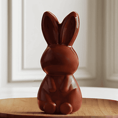 CONEJO ENCANTADO - FORMA 3 PARTES