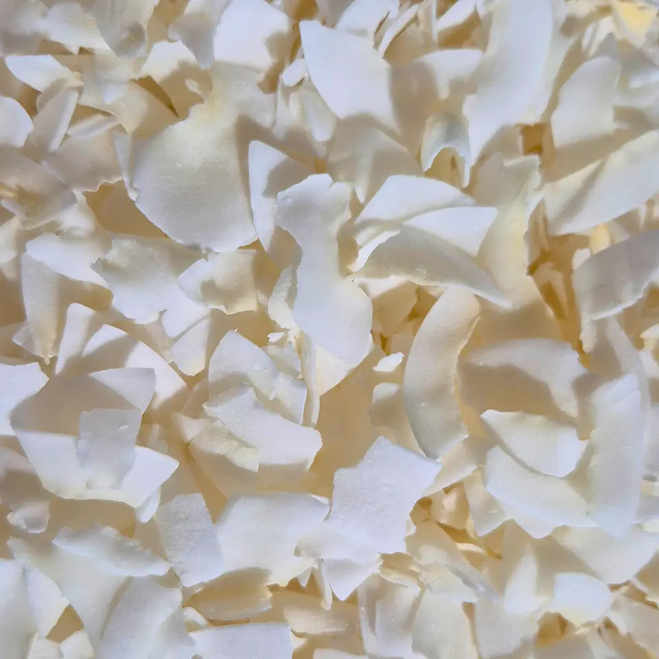 COCO LAMINADO CHIPS 100gr 1