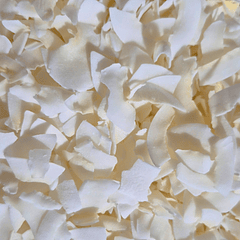 COCO LAMINADO CHIPS 250GR