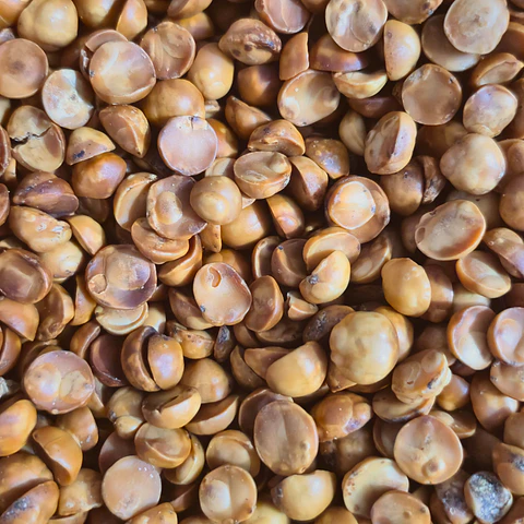 AVELLANA CHILENA 100GR