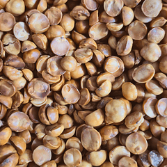 AVELLANA CHILENA 100GR