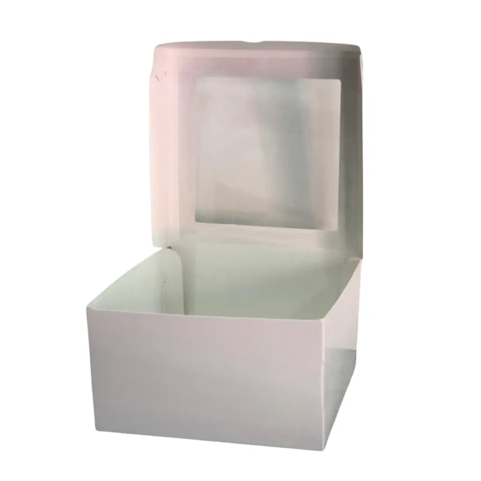 CAJA TORTA CON VISOR 16X16X9 2