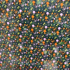 CHOCOTRANSFER 03-131 2