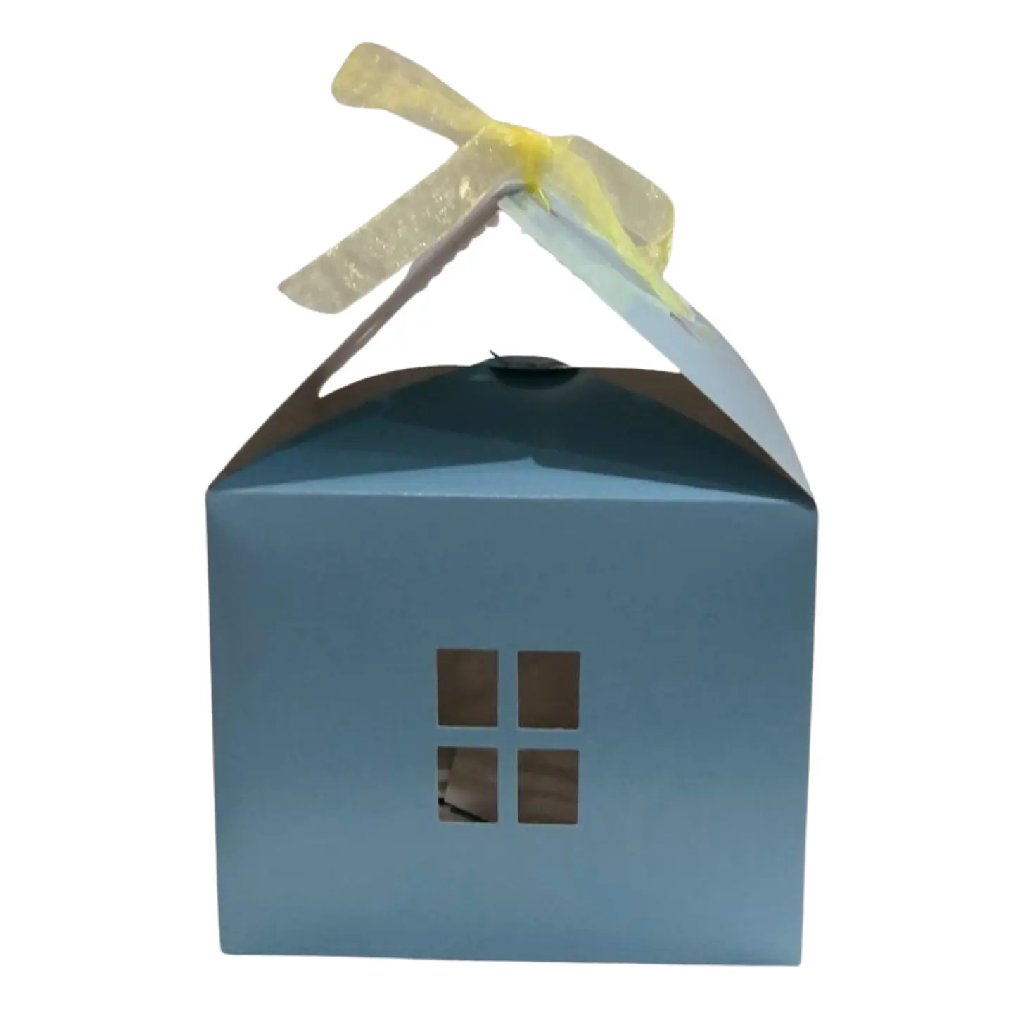 CAJA CASITA CELESTE 20X15X12 2