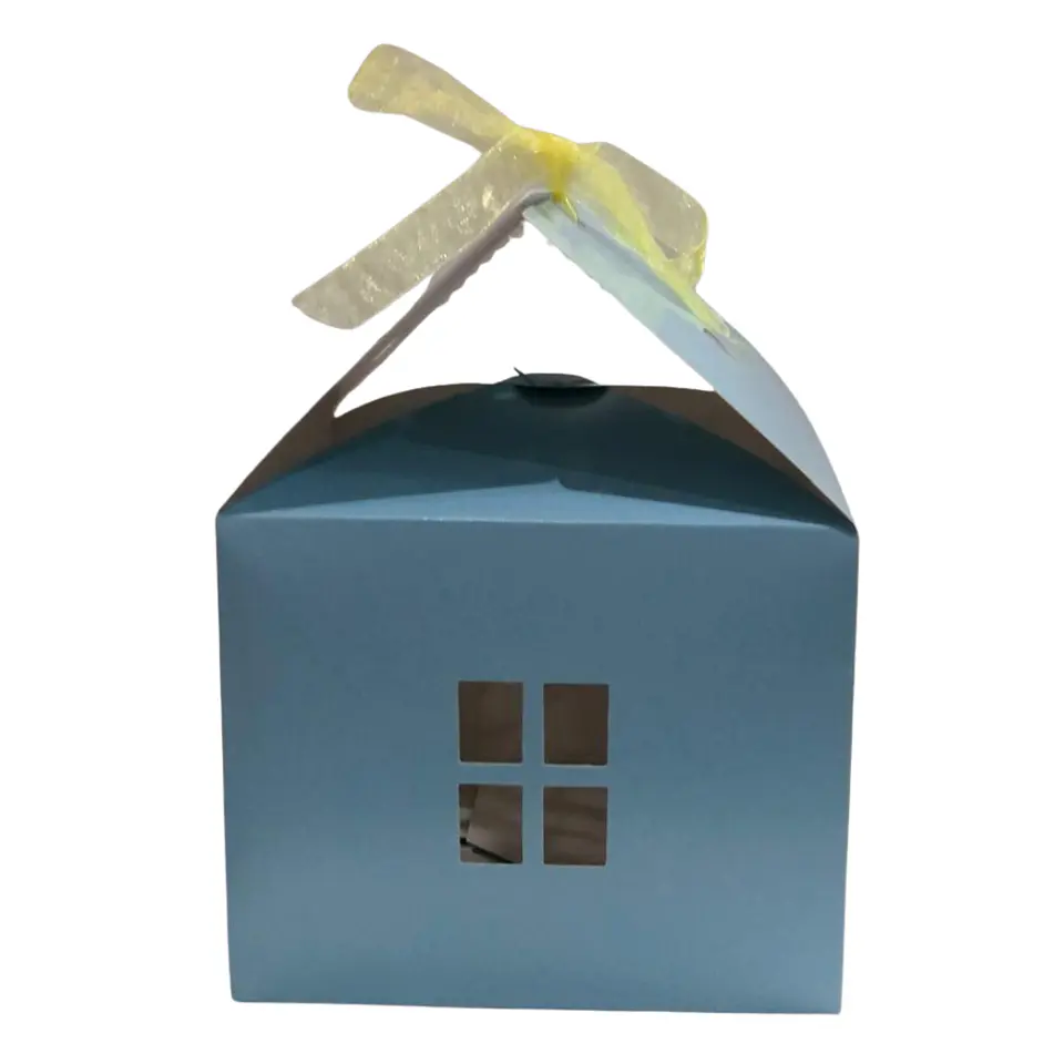CAJA CASITA CELESTE 20X15X12 2