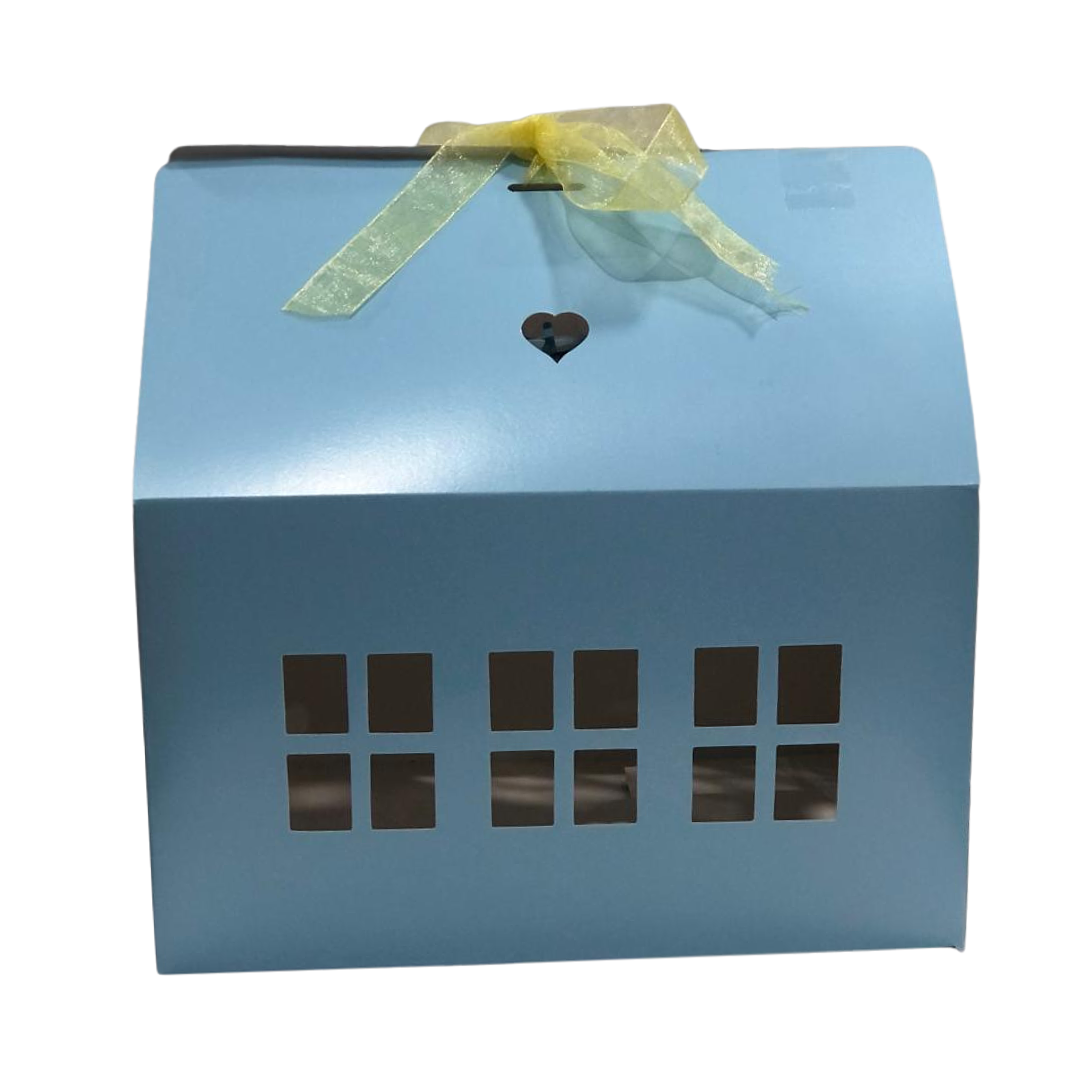 CAJA CASITA CELESTE 20X15X12 3