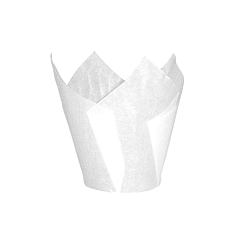 TULIPAS COLORES VARIOS 