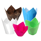 TULIPAS COLORES VARIOS  2