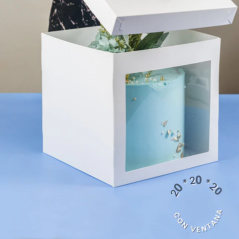 CAJA TORTA CON VISOR 20X20X20