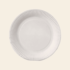 PLATO CARTON N2 