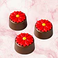 ALFAJOR GIRASOL - FORMA 3 PARTES - Miniatura 1