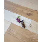 OSITOS - FORMA SIMPLE 3