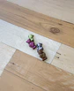 OSITOS - FORMA SIMPLE - Miniatura 2