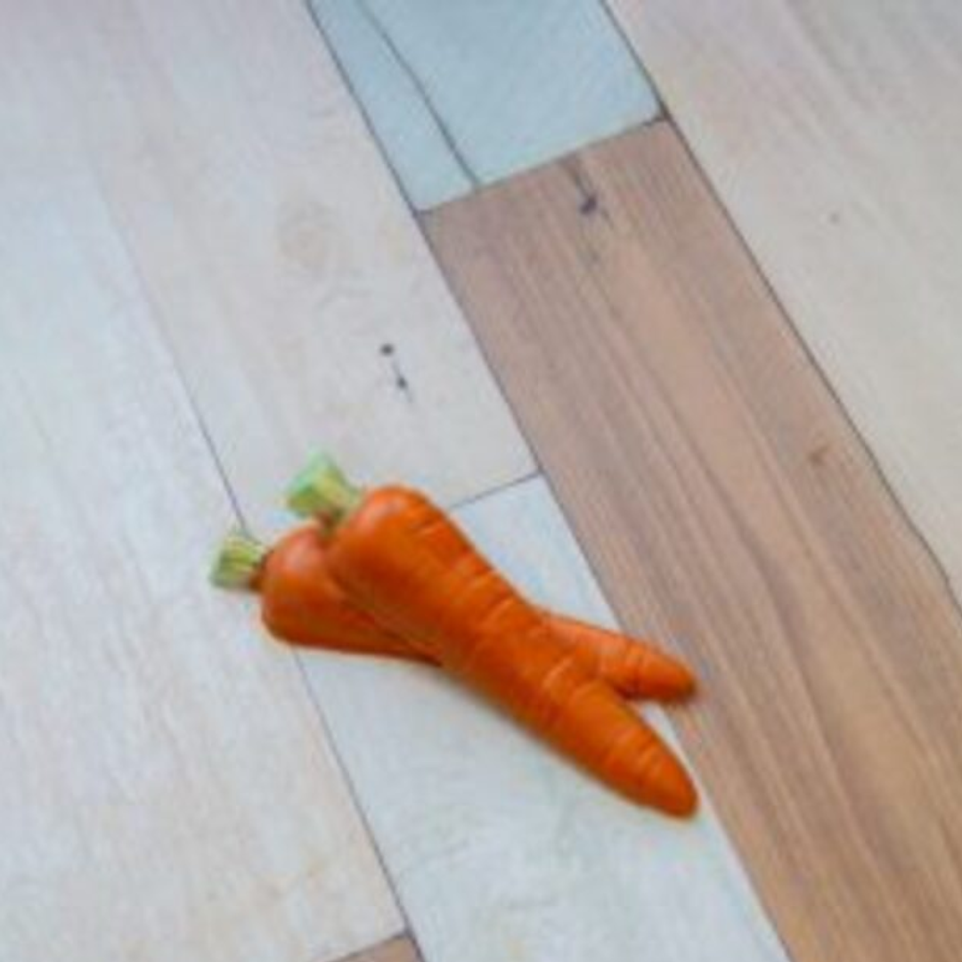 ZANAHORIA - FORMA SIMPLE SP 1