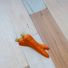 ZANAHORIA - FORMA SIMPLE SP 1