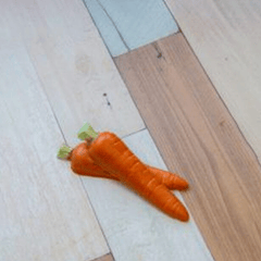 ZANAHORIA - FORMA SIMPLE SP