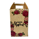 CAJA GIGANTE MICA MADRE ROJA 2