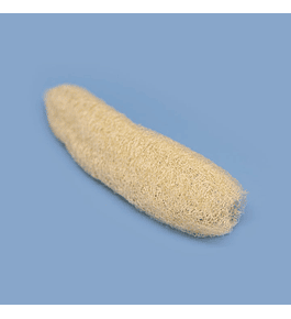 Luffa Esponja Vegetal Extra grande