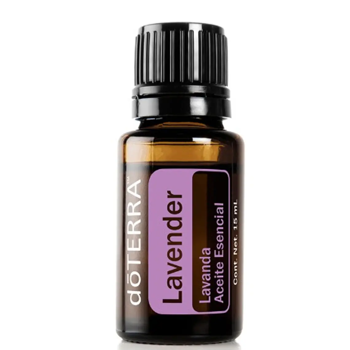 Lavanda (Lavandula angustfolia) 1