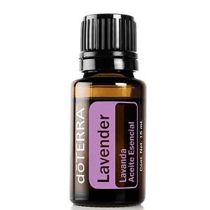 Lavanda (Lavandula angustfolia)