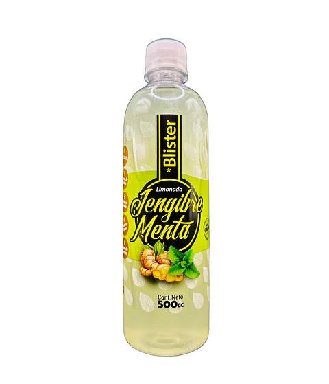 Pack 6 Botellas 500cc Limonada Menta Jengibre