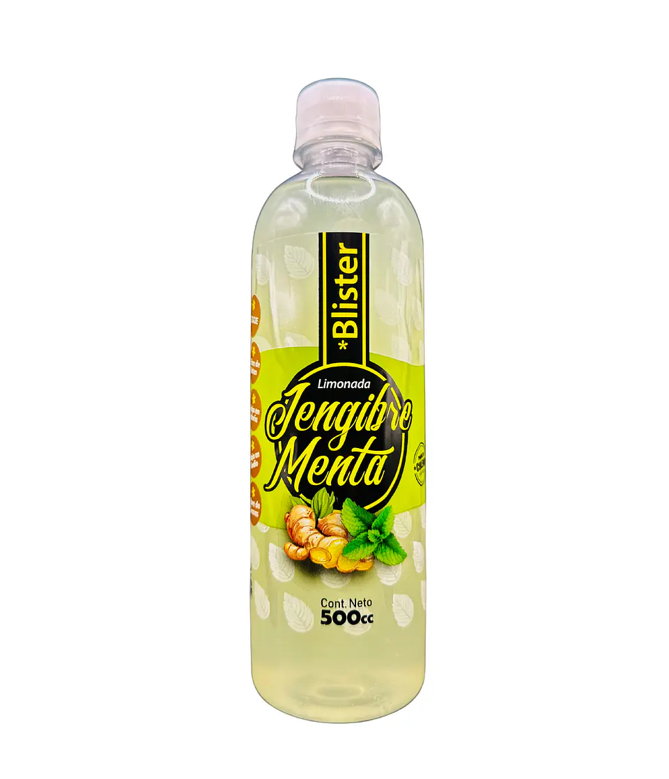 Pack 6 Botellas 500cc Limonada Menta Jengibre 1
