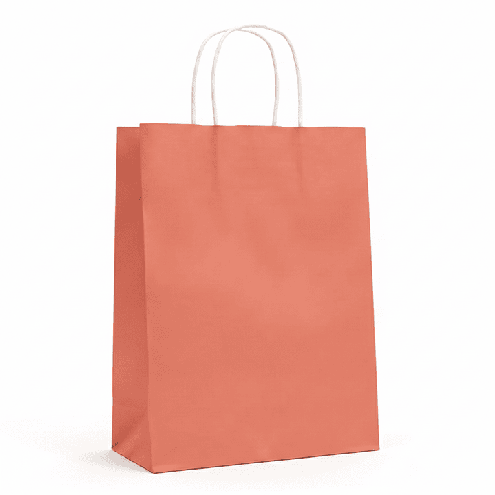 bolsas de papel color entero  8