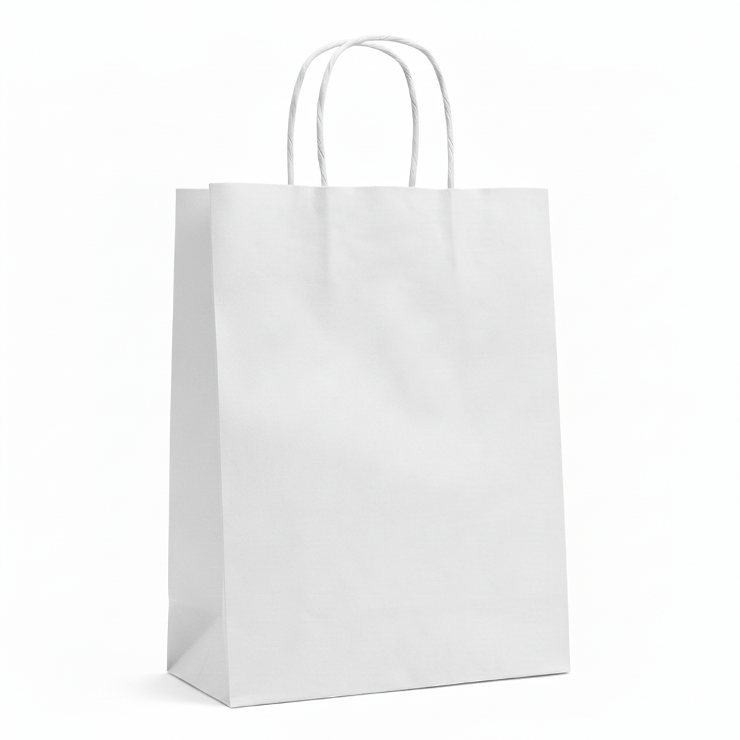 bolsas de papel color entero  10