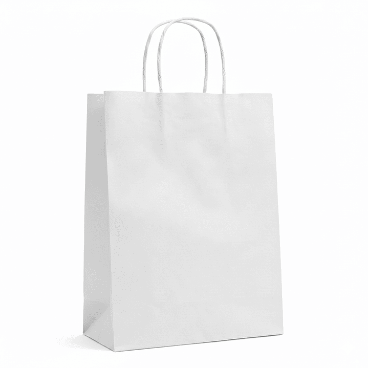 bolsas de papel color entero  10