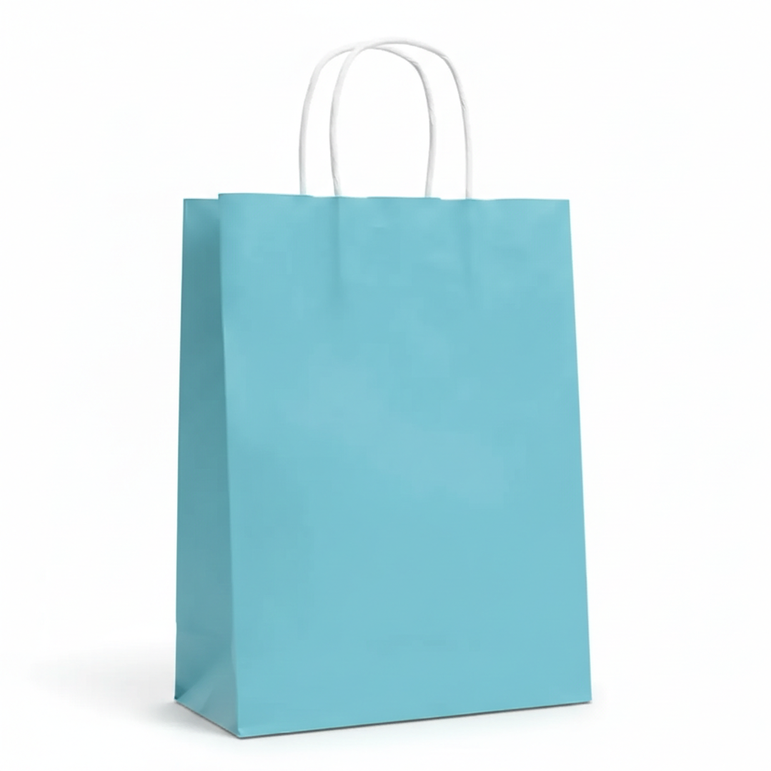 bolsas de papel color entero  20