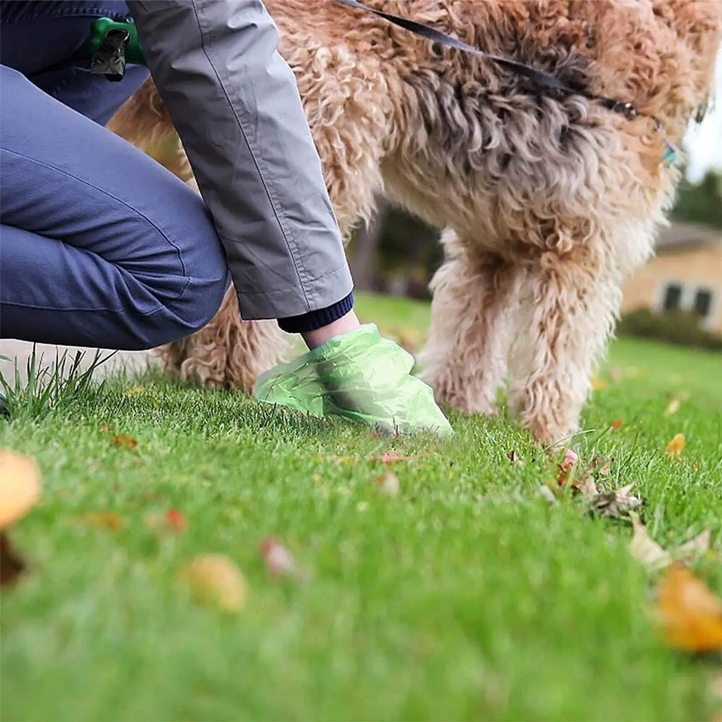 Bolsas de Basura para Perros - (5 Unidades) 3