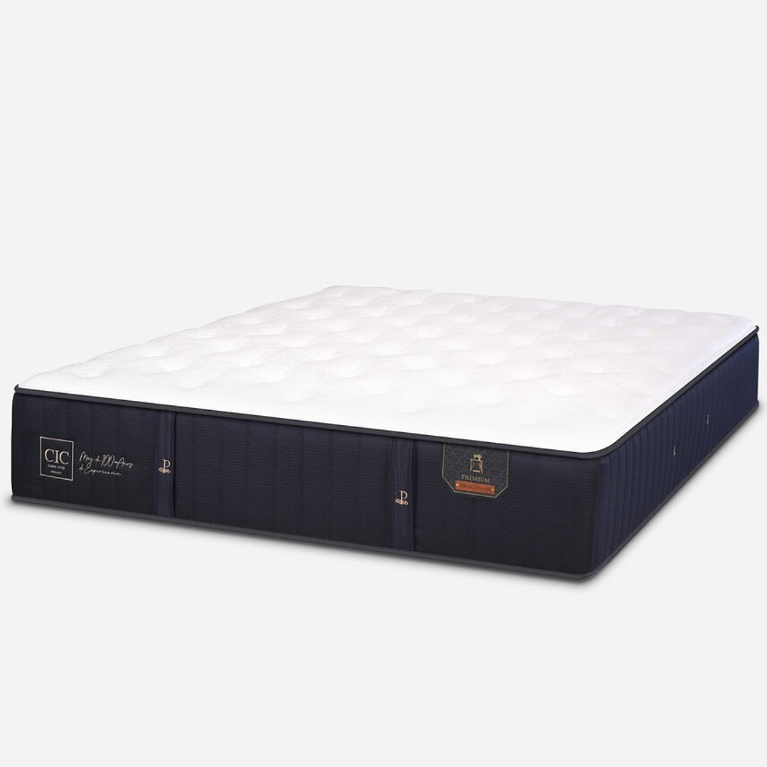 Cama 2 Plaza Box 8 cm + Colchon CIC Con Respaldo - Ruedas A Eleccion 13