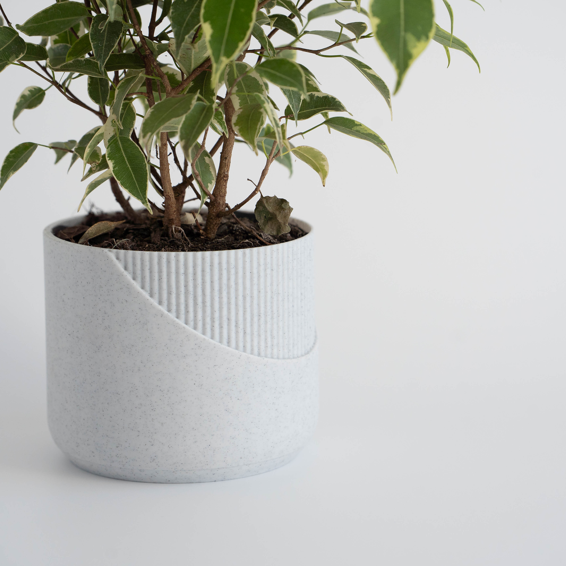 Minimal - Macetero Minimalista 2