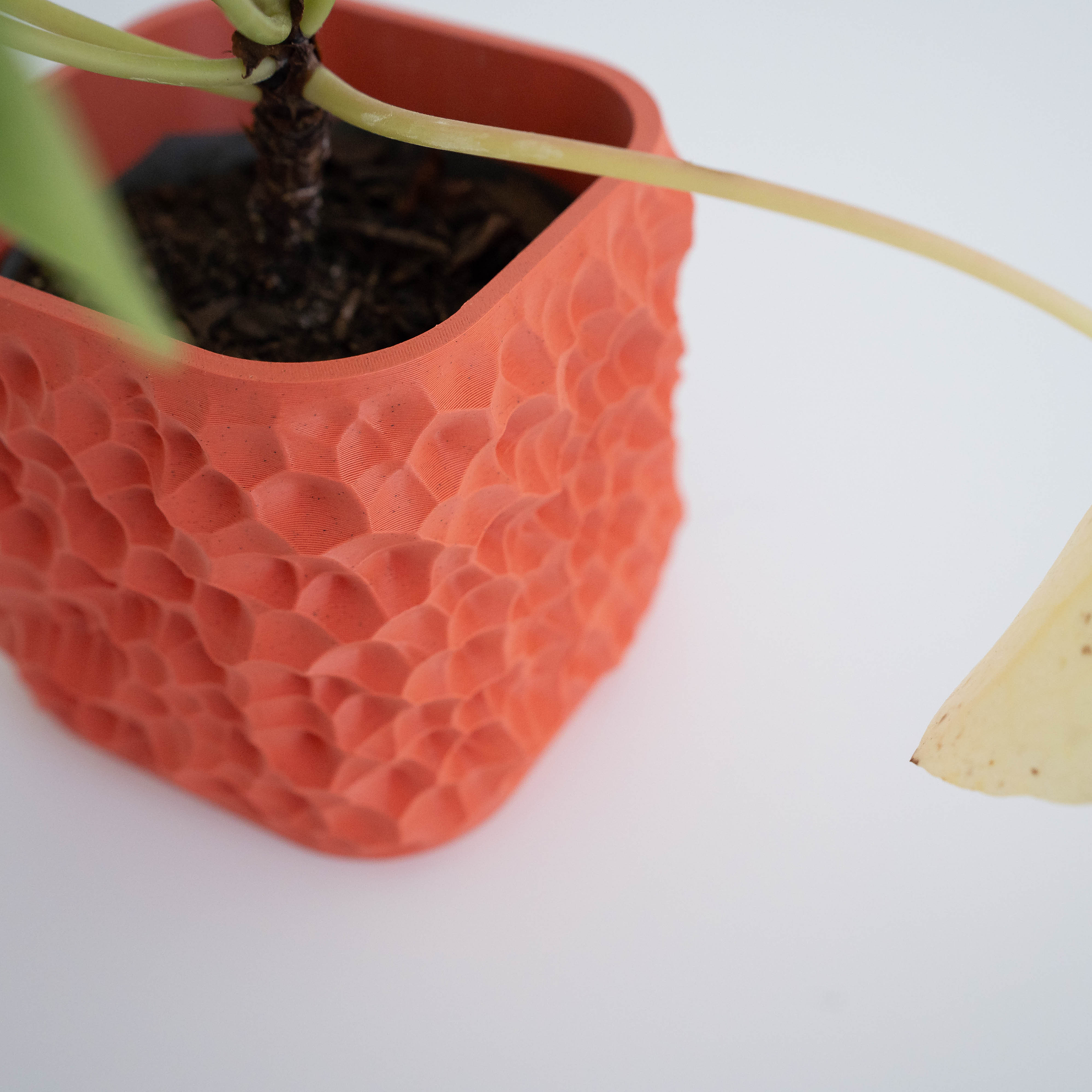 Crimson - Macetero Patrones naturales 3