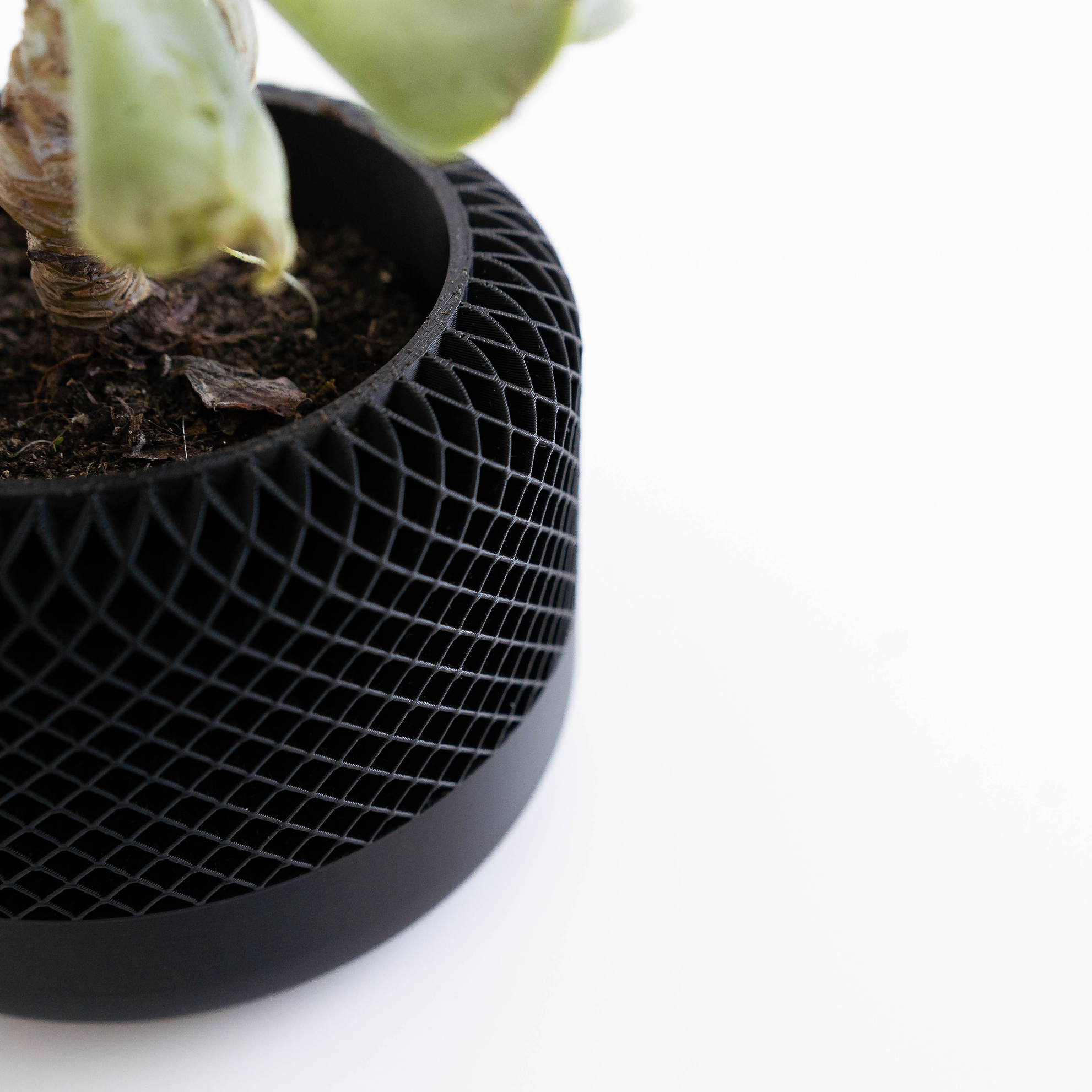 Noirra – Macetero decorativo 2