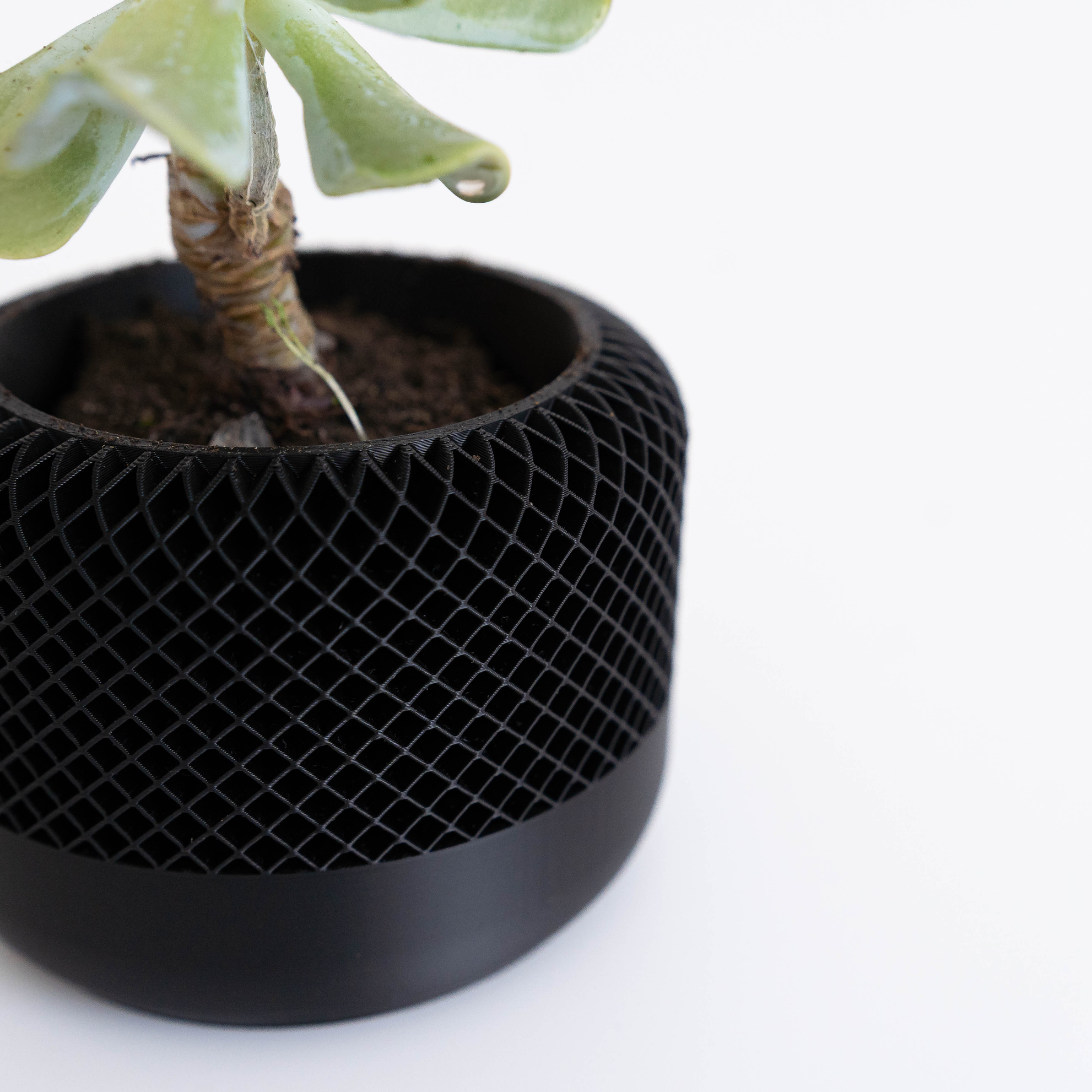 Noirra – Macetero decorativo 3