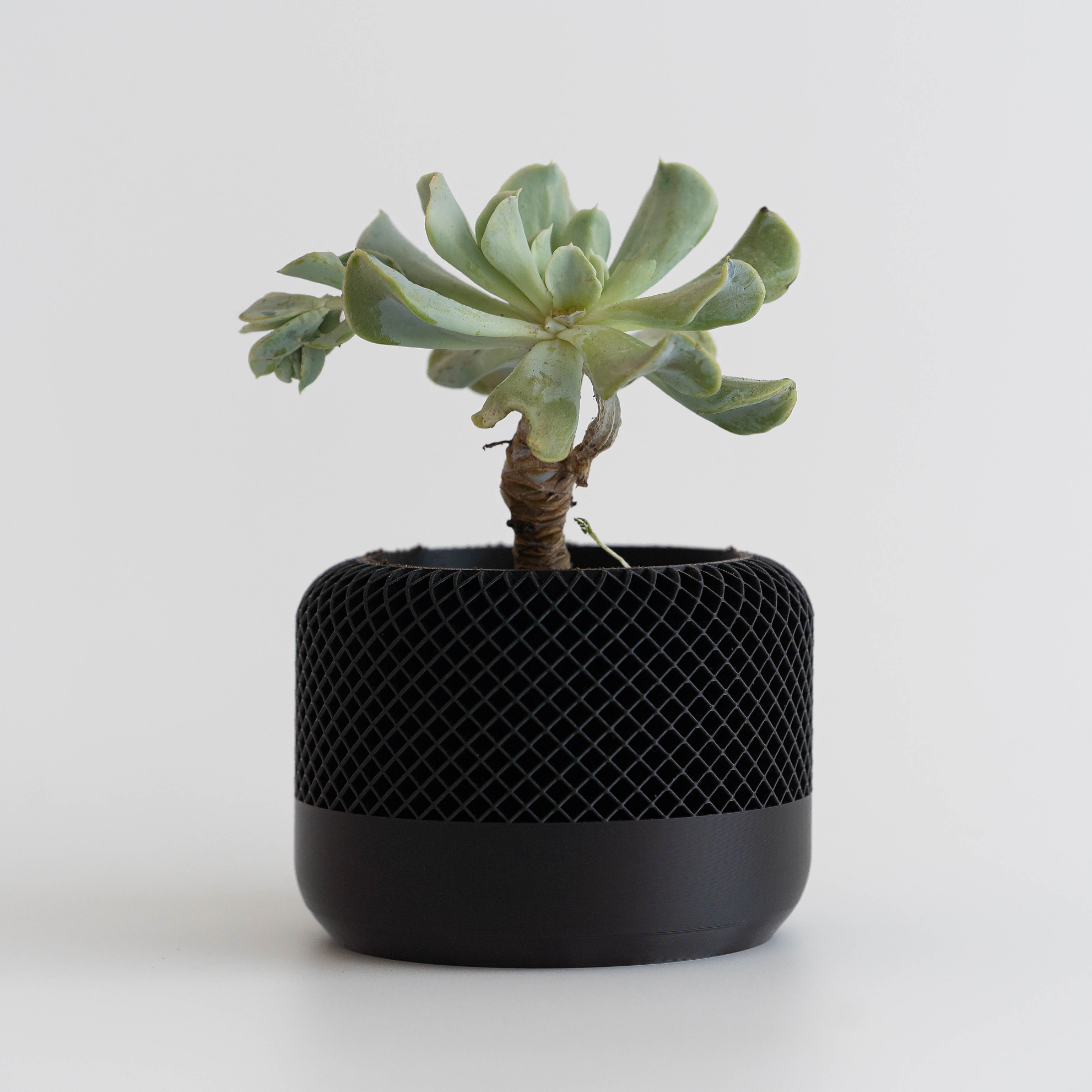 Noirra – Macetero decorativo 1