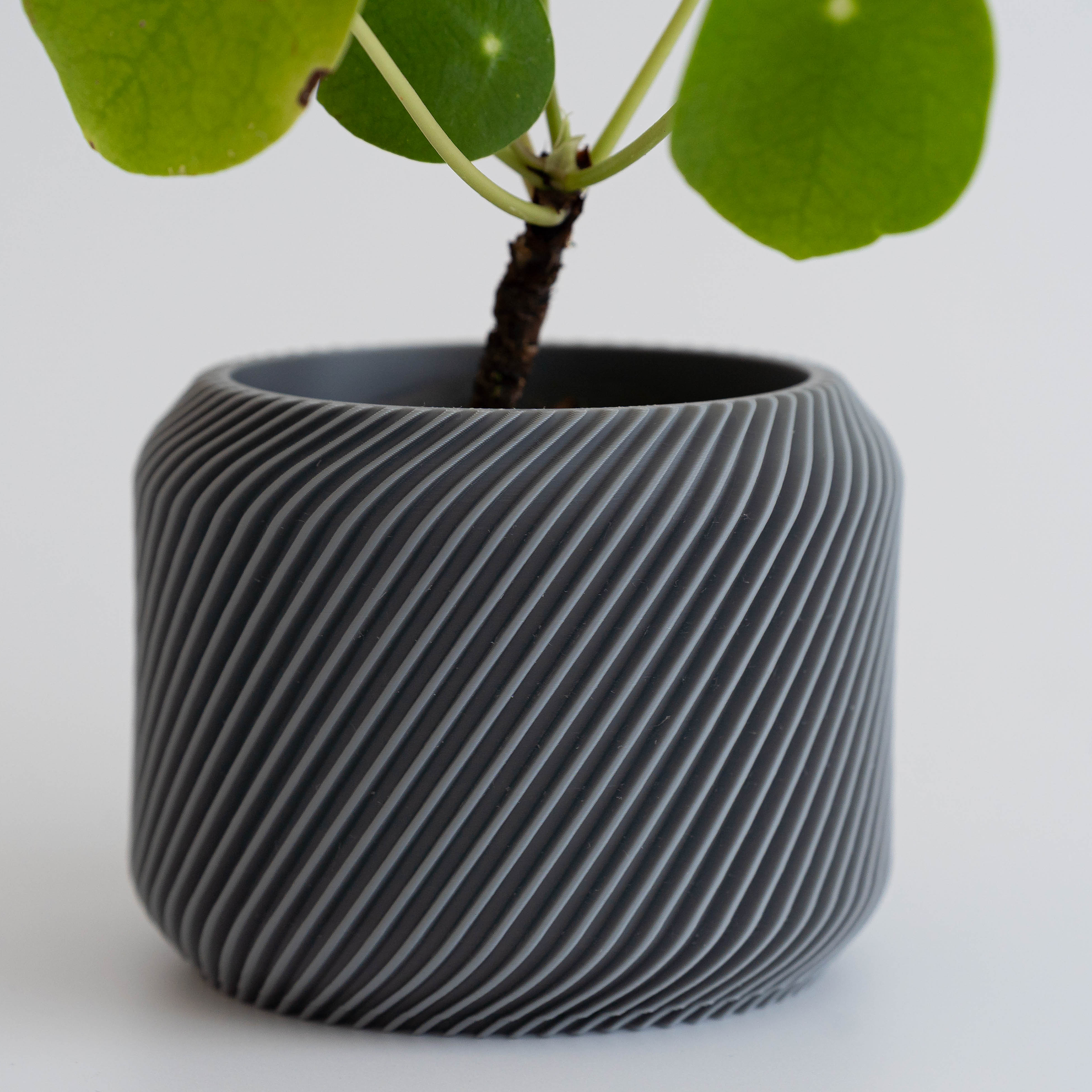 Drift – Macetero espiralado 3