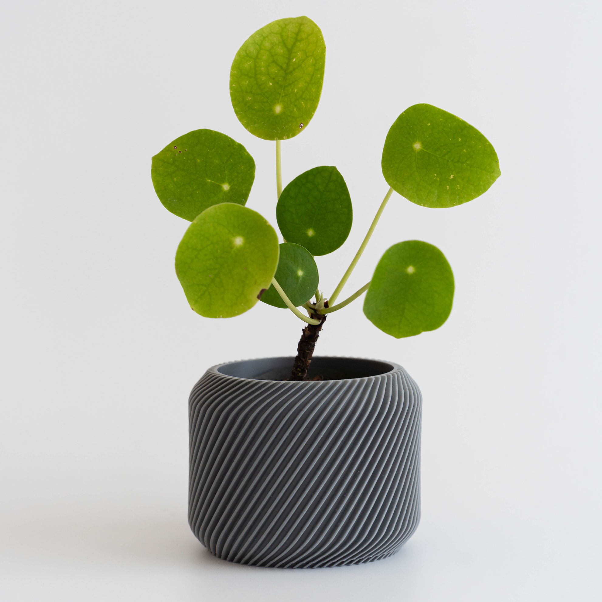 Drift – Macetero espiralado 1